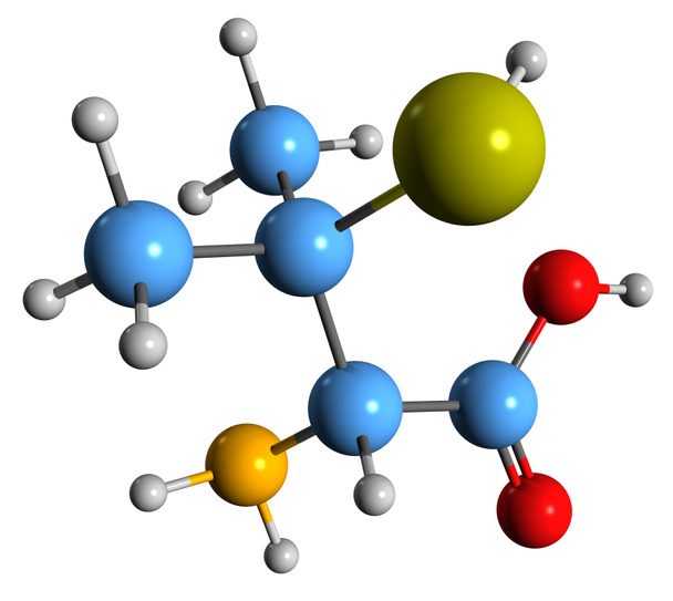  3D зображення пеніциламінової скелетної формули - молекулярна хімічна структура лікарських засобів D-пеніциламіну, ізольованих на білому тлі. - Фото, зображення