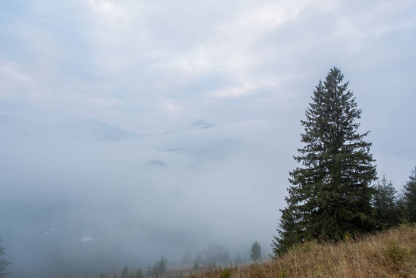 Misty morning in the Carpathian mountains in autumn. White fog over the dreamy mountain range, covered with green forest - Foto, Bild
