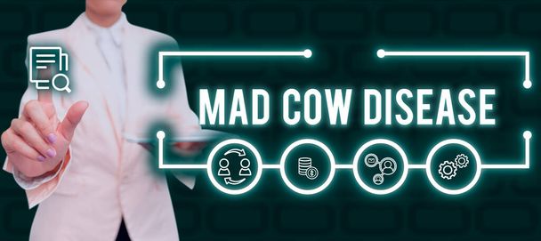 Текст рукописного тексту Mad Cow Disease, Інтернет-концепція Нейродегенеративна смертельна хвороба заразна їжа м'яса Леді в костюмі, що тримає ручку, що символізує успішні досягнення командної роботи
. - Фото, зображення