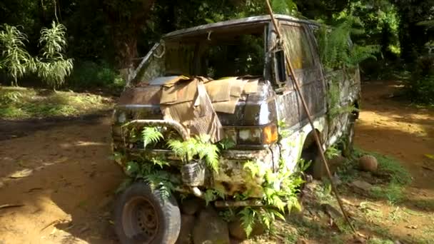 Old car parked overgrown with tropical plants somewhere in Pohnpei island in Micronesia. Small village inside a jungle. High quality 4k footage - Felvétel, videó