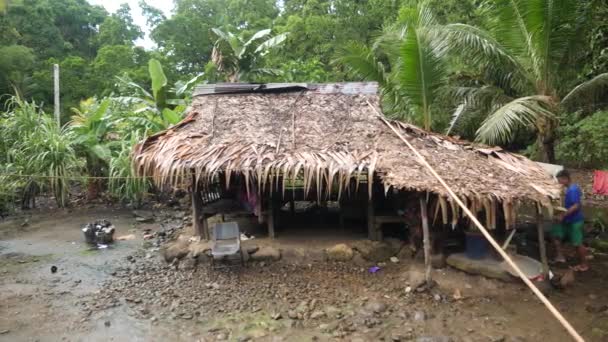 Маленьке село з простим традиційним будинком у Понпеї, Мікронезія. Кадри високої якості 4k - Кадри, відео