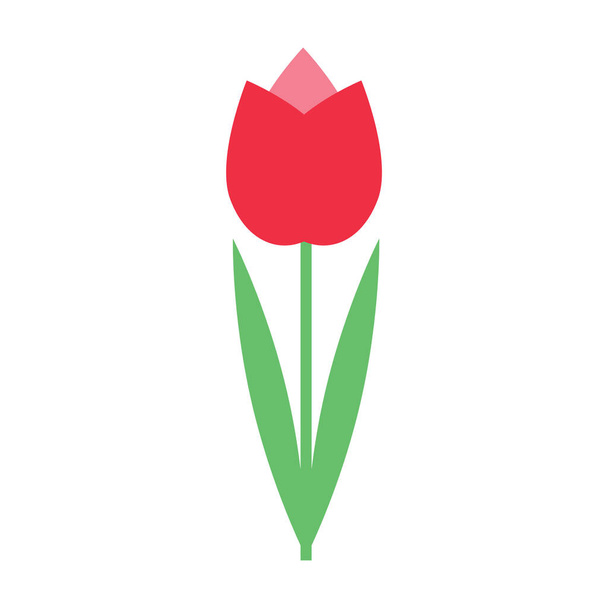 Colorful red tulip flower isolated on white background vector illustration. Spring garden flowers. Greetings card. Summer print design element. Floral shop logo. Flat style. Elegant pastel colors. - Vecteur, image