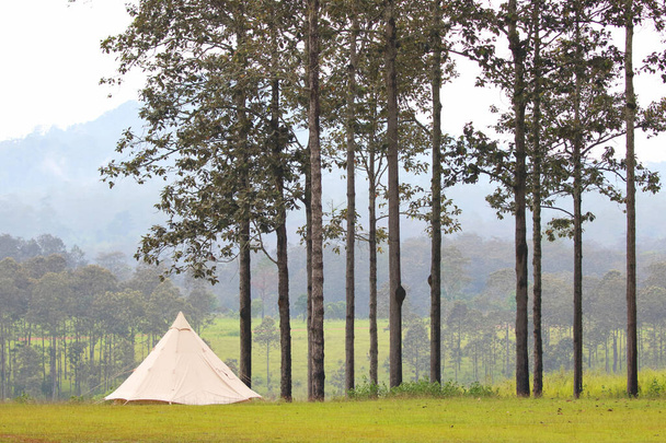 Holiday camping at Thung Salaeng Luang National Park, Thailand - Φωτογραφία, εικόνα