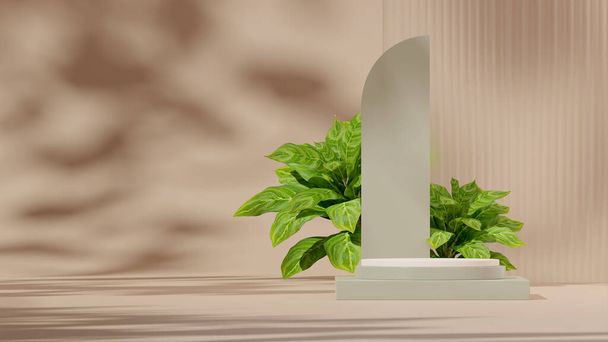 3D rendering template white green podium in landscape with glass backdrop and chinese evergreen - Zdjęcie, obraz
