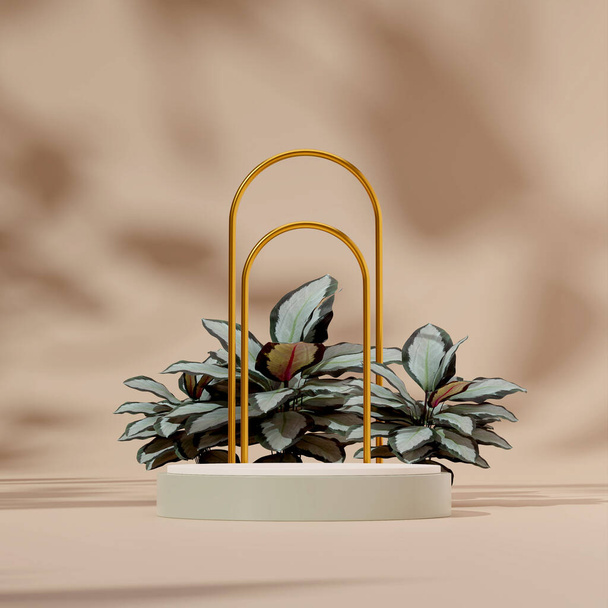 3D rendering mockup white green podium in square with gold arch and calathea plant - Foto, afbeelding