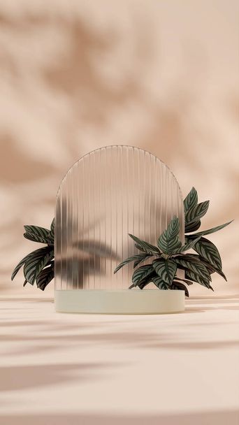 3D rendering mockup green podium in portrait with pink stripe calathea plant and blurred glass - Valokuva, kuva