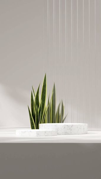 minimalist 3d render mock up of marble podium in portrait with snake plant and frosted glass - Фото, зображення