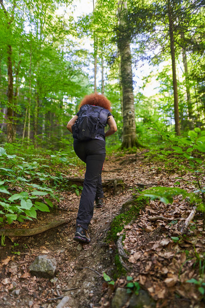 Woman hiker with backpack hiking on a trail in the mountain forest - Fotografie, Obrázek