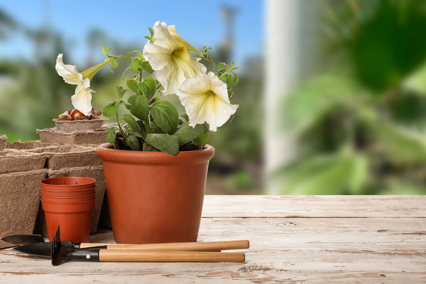 Conjunto de suprimentos de jardinagem na mesa ao ar livre
 - Foto, Imagem