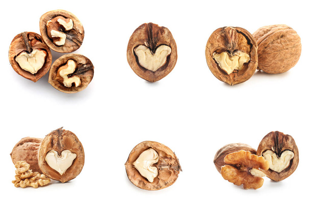 Set of tasty walnuts isolated on white - Фото, изображение