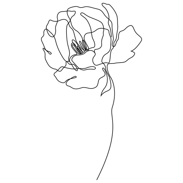 Peony flower isolated vector illustration. Vector wildflower for background. Abstract botanical art. Simple minimalist art. Continuous line drawing. - ベクター画像