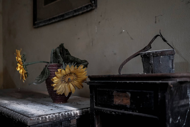flowerpot and table with dust in abandoned house. High quality photo - Фото, изображение