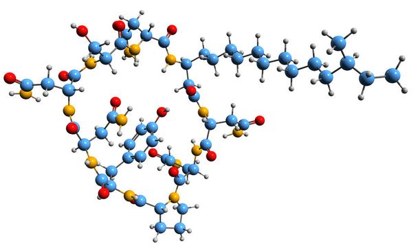  3D image of Mycosubtilin skeletal formula - molecular chemical structure of natural lipopeptide isolated on white background - Photo, Image