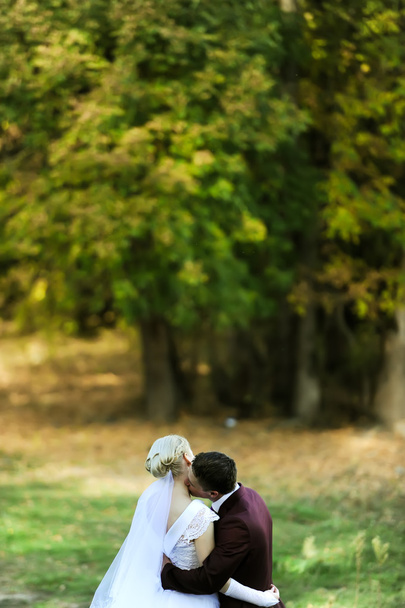ο γαμπρός φιλιά στη νύφη σε ένα λαιμό σε ένα ξέφωτο - Φωτογραφία, εικόνα