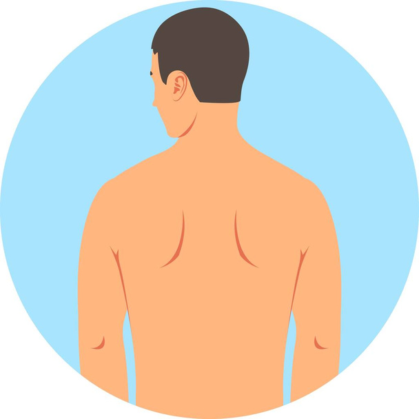 A young white naked man stands with his back. Silhouette of a naked white man to the waist isolated on a white background. Vector illustration. - ベクター画像