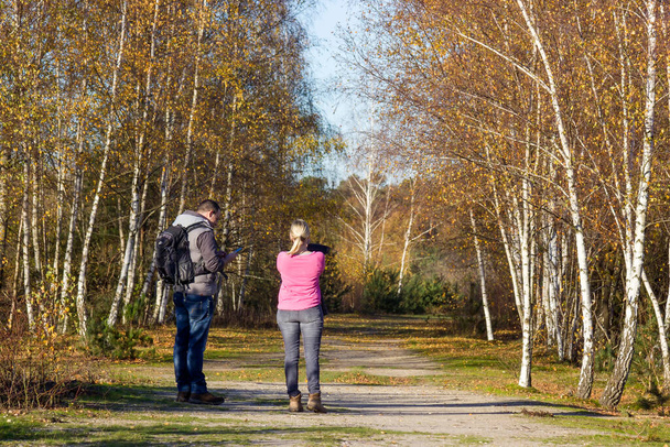 National Park Maasduinen in the Netherlands - people in the birch alley - Photo, Image