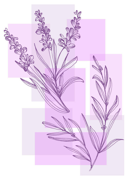 Lavender Абстрактні ручні розписані ілюстрації для прикраси стін, листівки, банер соціальних медіа, дизайн обкладинки брошури. Сучасне художнє мистецтво абстрактного живопису. Векторний візерунок
 - Вектор, зображення