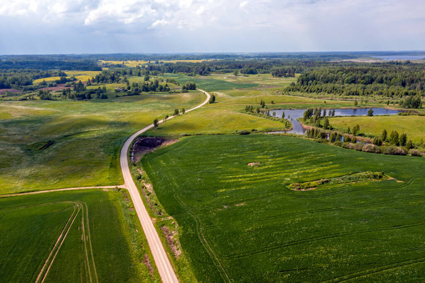 rural landscape with agricultural fields, roads and lonely trees, aerial drone photography - Foto, imagen