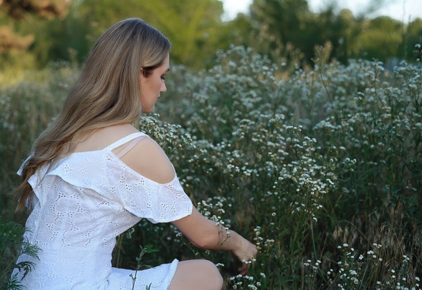 A woman sat down and collects daisies in a bouquet. High quality photo - Foto, immagini