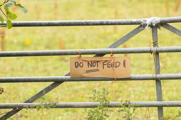 A hand-painted sign that says Please do Not feed  - Foto, Imagem
