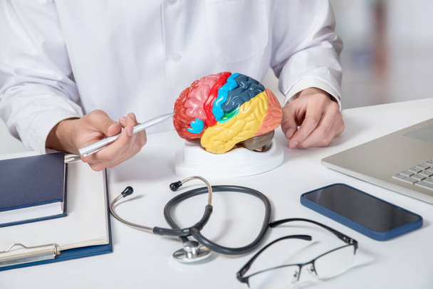 The doctor shows the function of the brain at the table in the office. - Foto, imagen