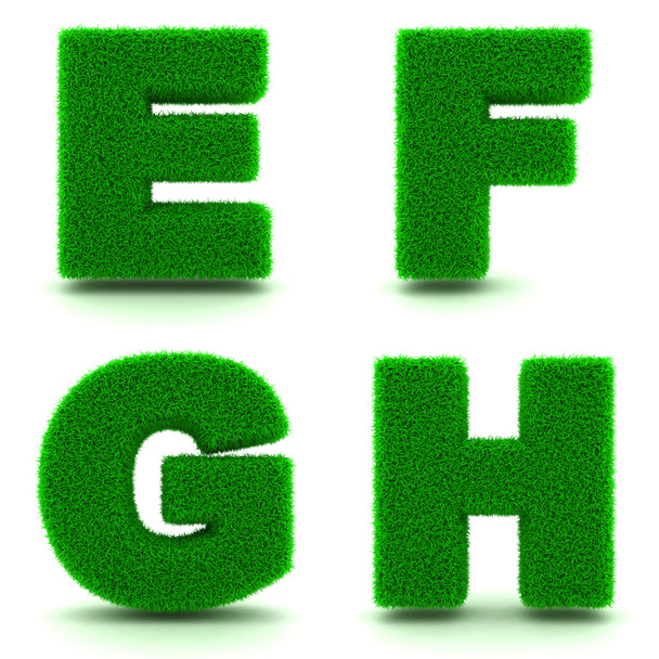 文字 E, F, G, h. アルファベット一連の緑の草. - 写真・画像