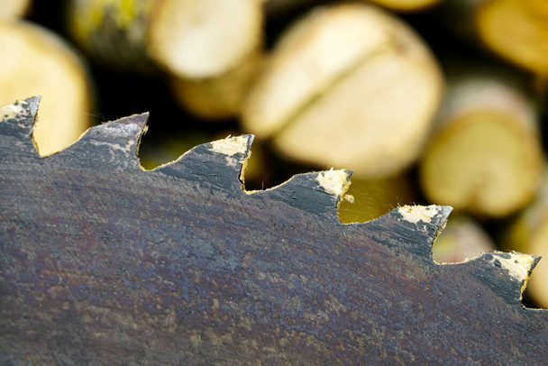 Un fragmento de una vieja hoja de sierra circular de acero con dientes grandes y leña aserrada en un fondo borroso - Foto, imagen