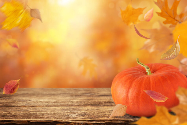 Festive autumn background with pumpkin and fallen leaves, copy space.  - Foto, imagen