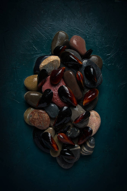 Fresh mussels, on rocks, top view, food concept, selective focus, seafood, no people, - 写真・画像