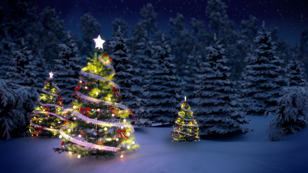 Árboles de Navidad - Foto, imagen