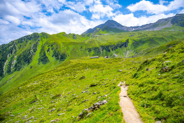 Green meadows and tourist path at Ahornspitze Mountain in Zillertral Alps, Austria - Fotoğraf, Görsel