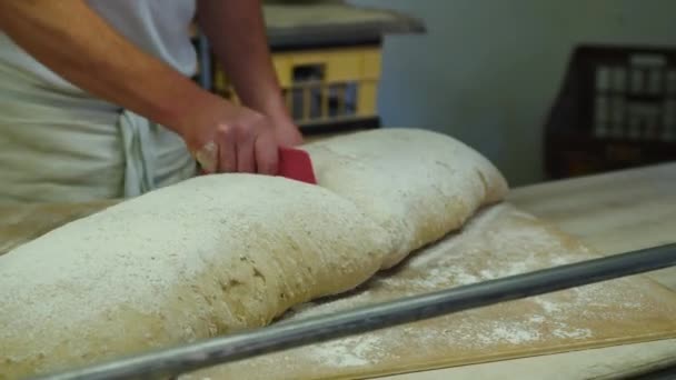 Térdelő tészta. Baker elkészíti a tésztát a kenyérhez. Pékáru gyártása. A pék tésztakészítményeket készít. Kiváló minőségű 4k felvételek - Felvétel, videó