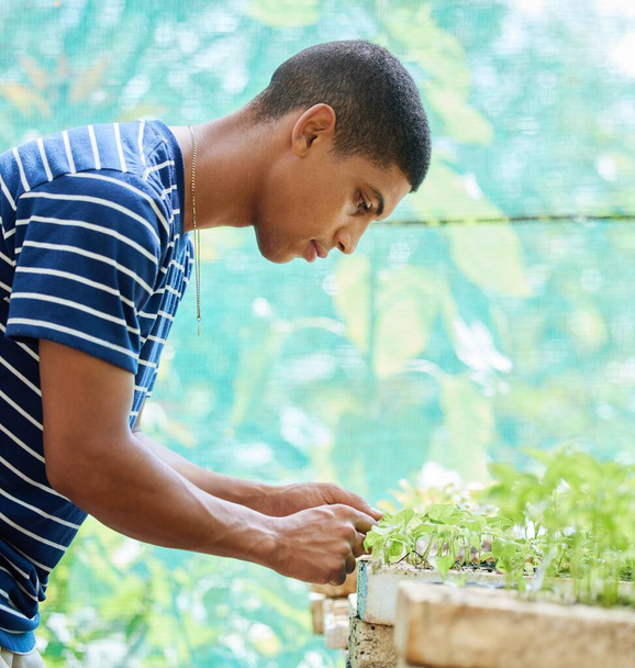 Врятувати світ одне насіння за раз. молодий чоловік обрізає рослини у своєму дворі
 - Фото, зображення