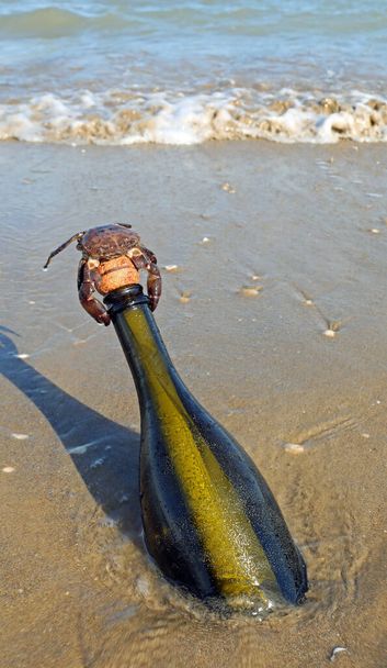 crab over the bottle beached by the sea with a secret message inside - Φωτογραφία, εικόνα