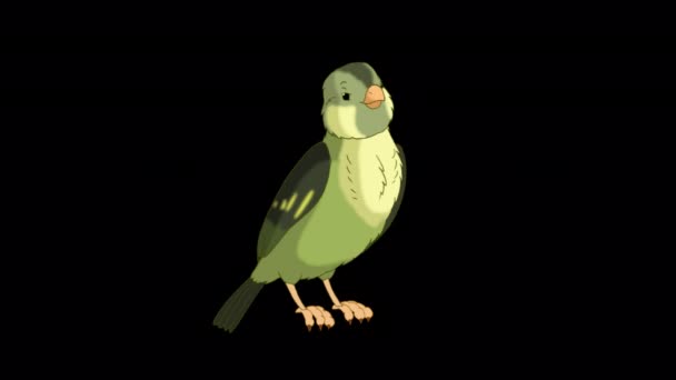 Green wood warber bird twittering. Handmade animated looped HD footage isolated with alpha channel - Imágenes, Vídeo
