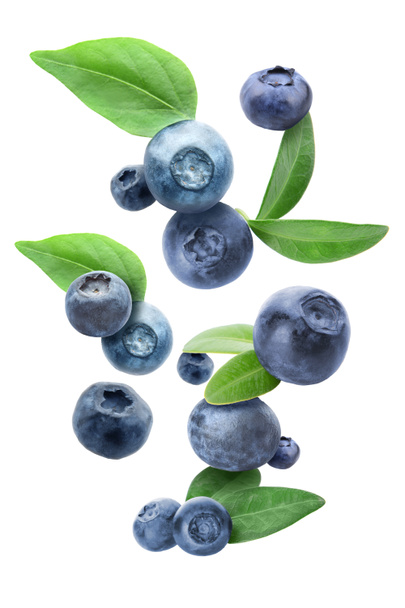 Many flying blueberries on white background - Valokuva, kuva