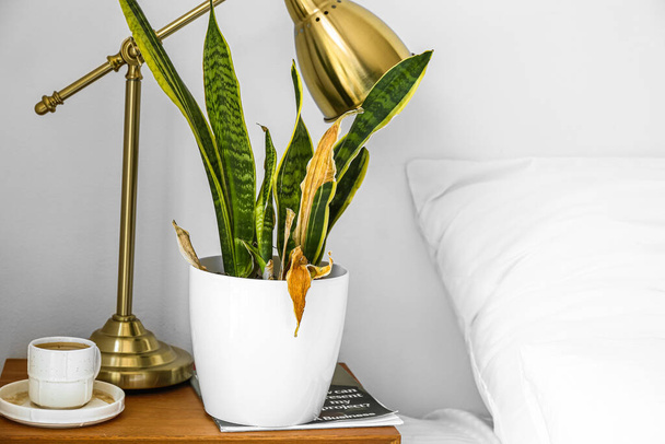 Wilted houseplant, lamp and cup of coffee on table near light wall in bedroom - Foto, Bild