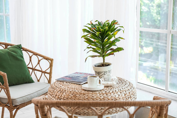 Плетений кімнатна рослина з чашкою кави і журналом на столі у вітальні
 - Фото, зображення
