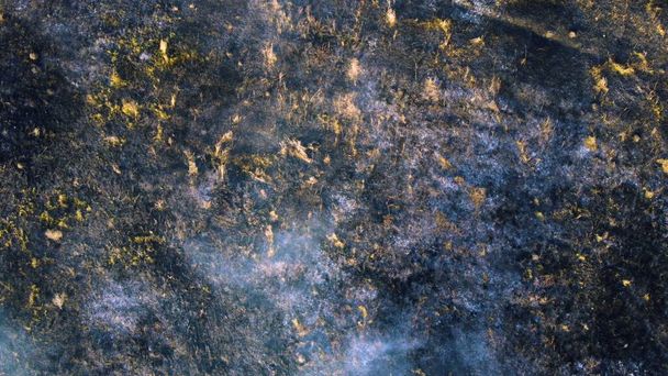 Aerial drone view flight over black ash of field of burned brown yellow dry grass and white smoke on sunny autumn day. View from above. Texture natural background of ecological environmental disaster. - Photo, Image