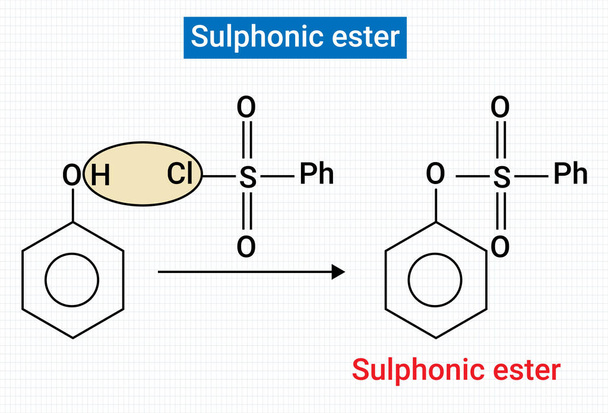 The sulfonic acids are among the most important of the organosulfur compounds - Vektor, kép