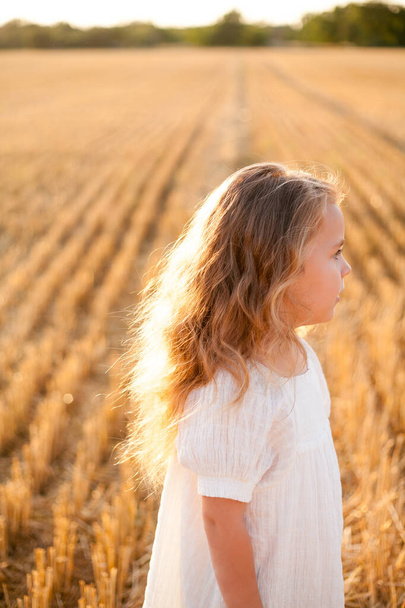 Adorable little curly girl 4 years old in a white dress in the sun at sunset in a mowed field of wheat. Happy child outside. Walk. Warm summer. - Foto, Bild