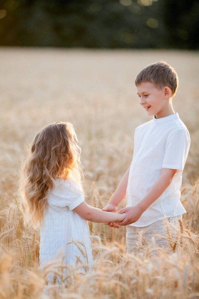 Adorable little boy and girl in the sun at sunset in a wheat field. Happy kids outside. Walk. Warm summer. - Photo, Image