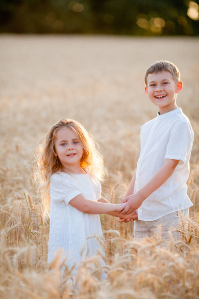 Adorable little boy and girl in the sun at sunset in a wheat field. Happy kids outside. Walk. Warm summer. - Фото, изображение