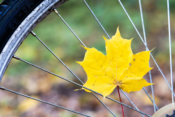 Bicycle in the autumn forest closeup . Yellow autumn leaves. Concept of autumn Cycling and sports. - Fotó, kép