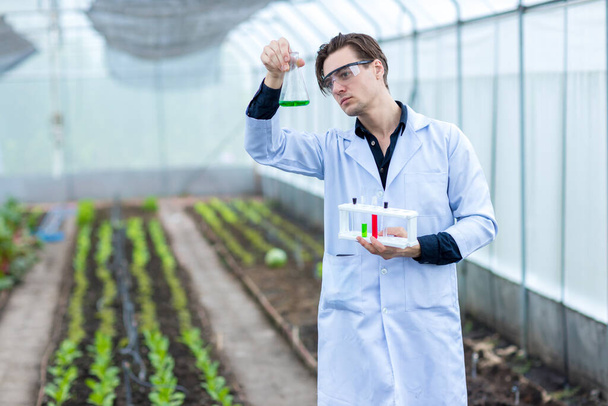 Scientist using test tube. Scientist work at Vegetable Garden Lab site. Scientists test the solution in vegetable farm - Foto, afbeelding