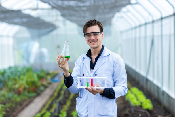Scientist using test tube. Scientist work at Vegetable Garden Lab site. Scientists test the solution in vegetable farm - Zdjęcie, obraz
