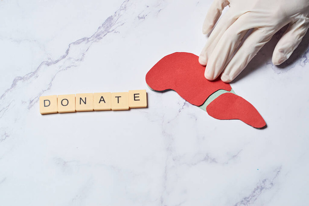 healthy liver organ donation concept - Foto, immagini