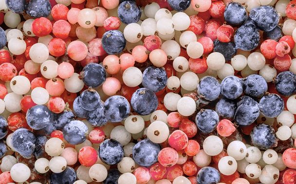 Frozen currants mix background. Frozen four varieties of currants white, pink, red and black - Фото, зображення