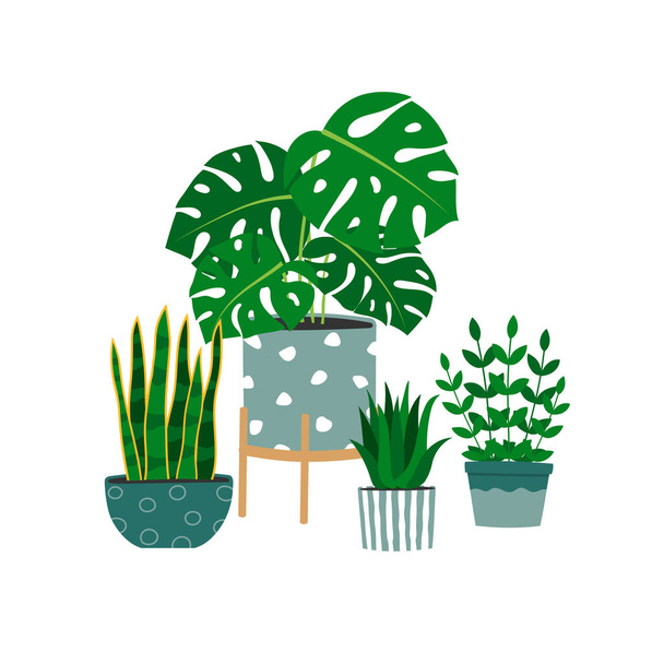 Hand drawn houseplants design. Trendy composition with home decorations. Isolated vector illustration - Vektor, obrázek