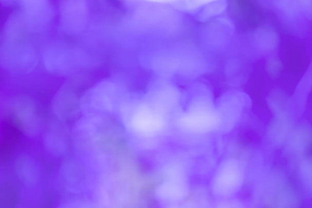 Trendy color lavender colorful abstract bokeh background. - Φωτογραφία, εικόνα